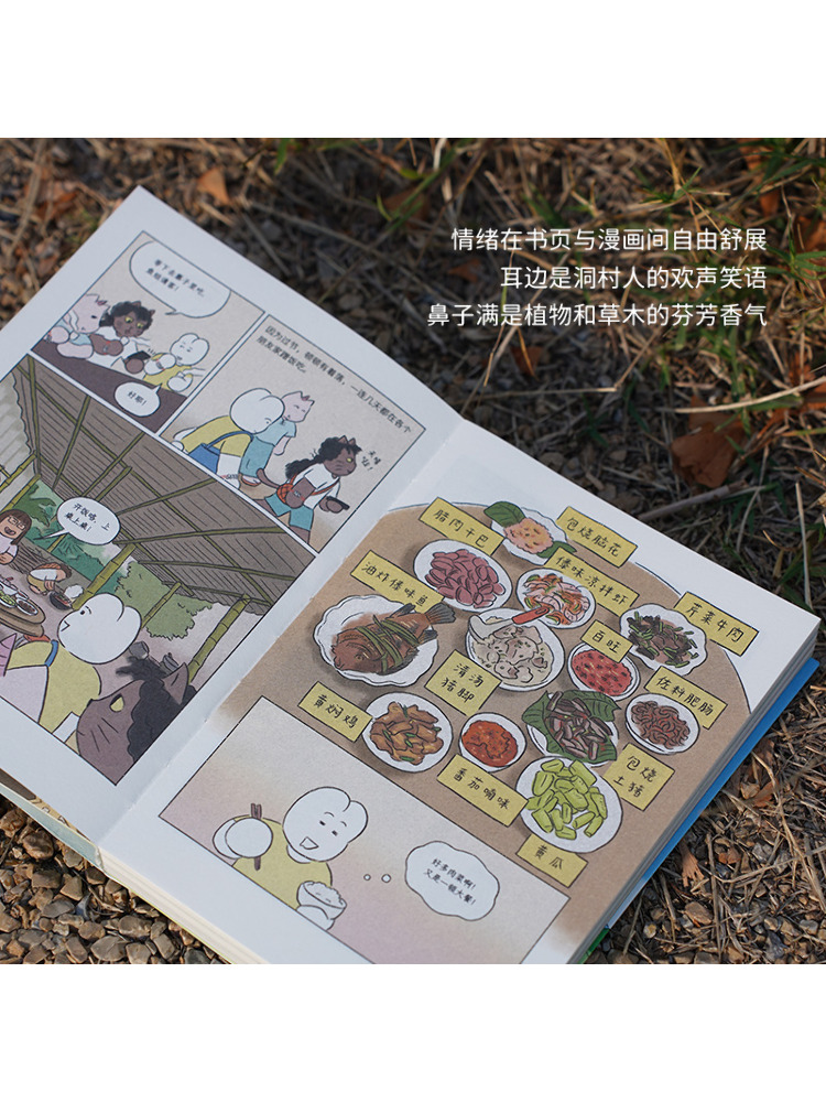 Book-Winshare: Ich wünsche Ihn – Art Book Illustration Bewertung und Preis