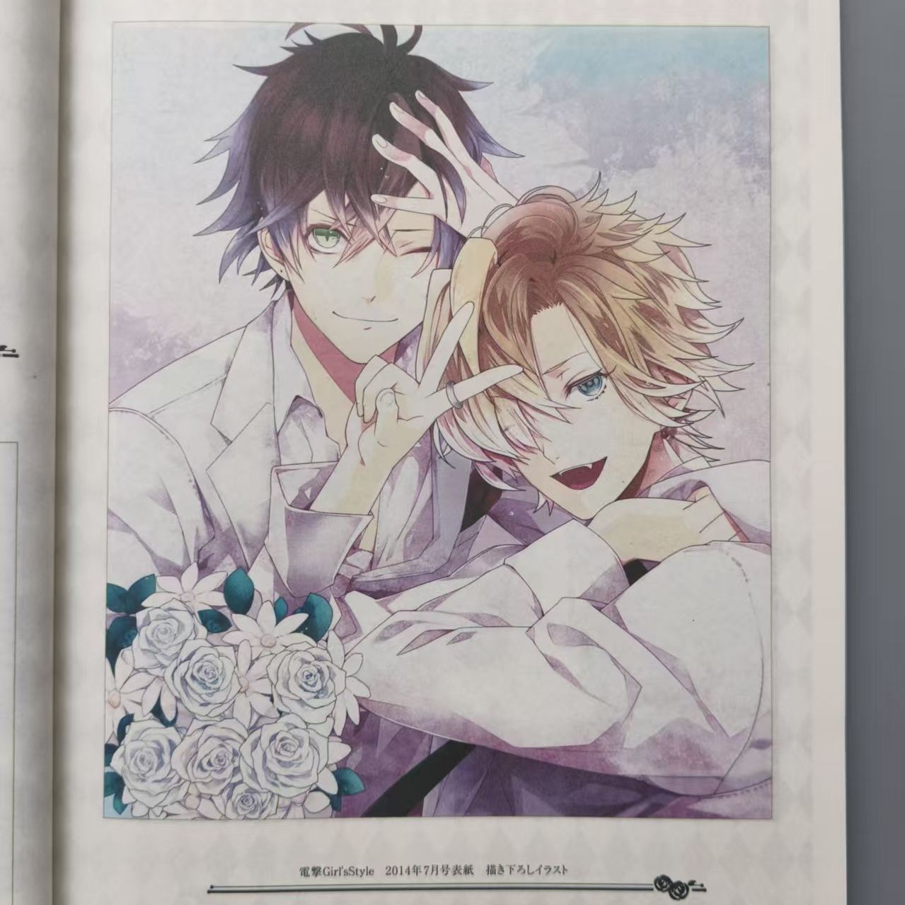 DIABOLIK LOVERS VANDEAD CARNIV – Art Book Illustration Bewertung und Preis